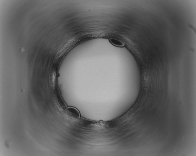 X0000100840118200807111201