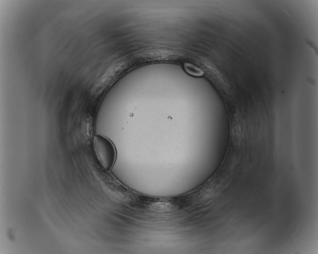 X0000100840119200807111201