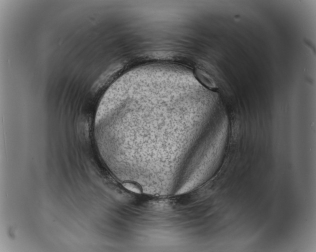 X0000100840120200807111201