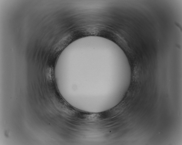 X0000100840122200807111201