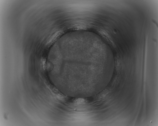 X0000100840123200807111200