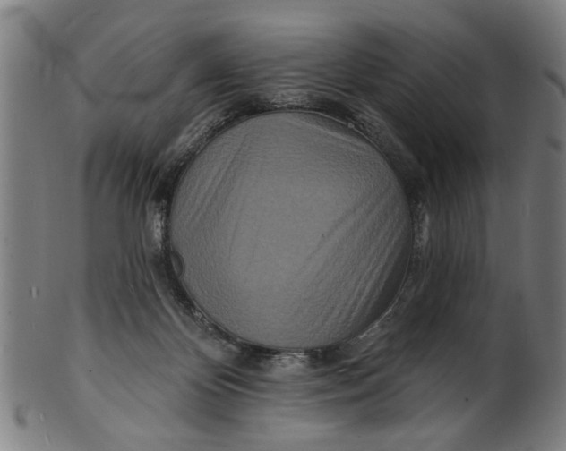 X0000100840124200807111200