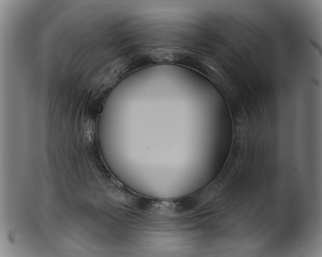 X0000100840125200807111200