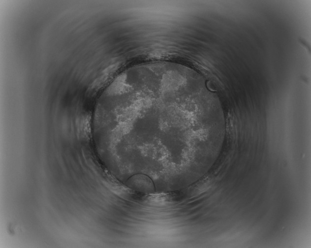 X0000100840127200807111200