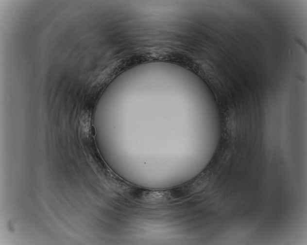 X0000100840129200807111200