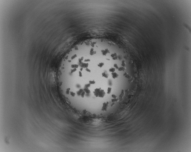 X0000100840130200807111200