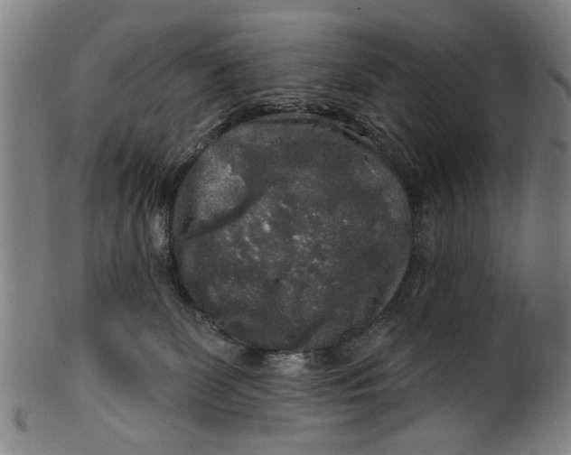 X0000100840131200807111200