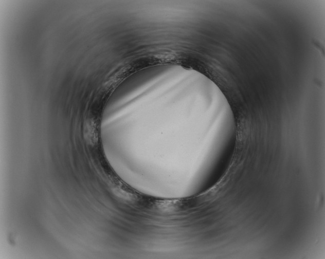 X0000100840136200807111200