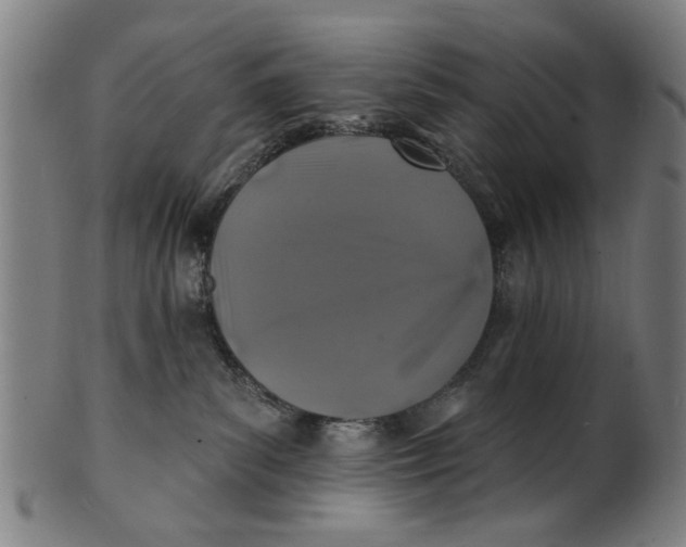 X0000100840139200807111200