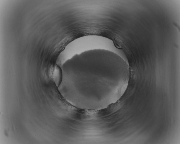 X0000100840143200807111200