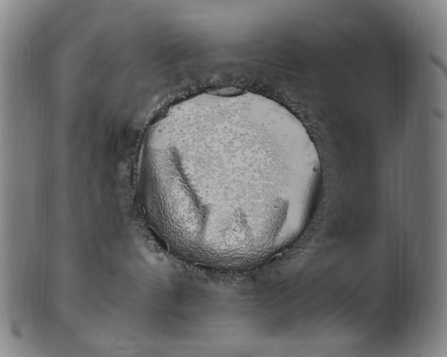 X0000100840144200807111200