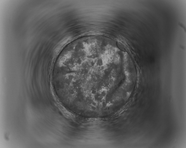 X0000100840145200807111159