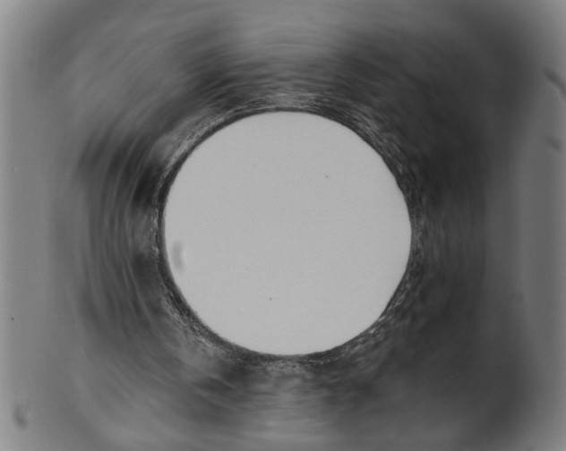 X0000100840146200807111159