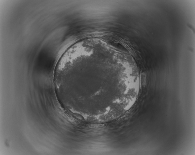 X0000100840147200807111159