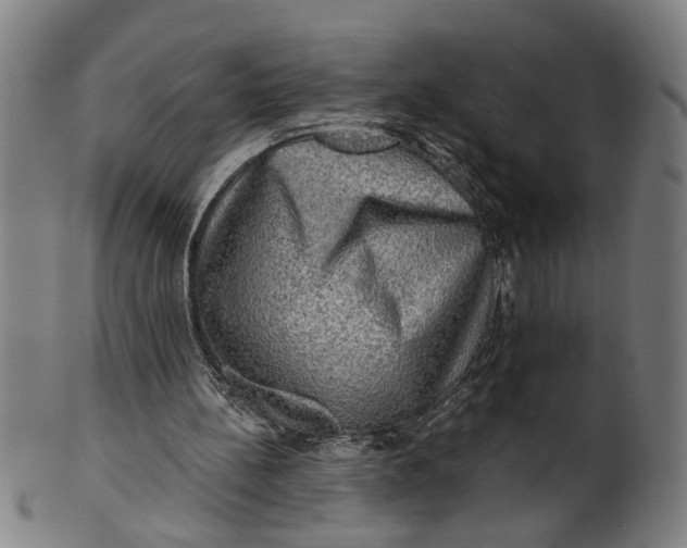 X0000100840148200807111159