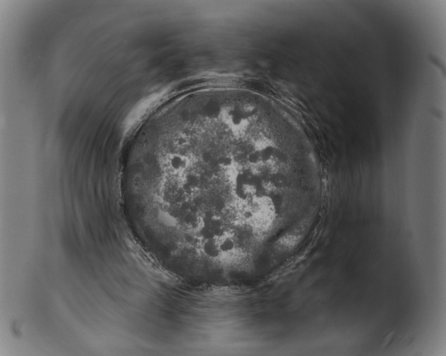 X0000100840149200807111159