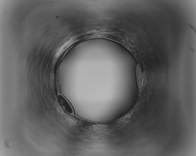 X0000100840150200807111159