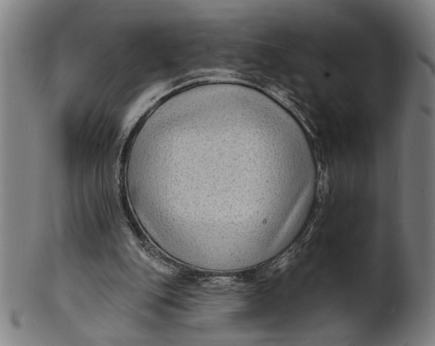 X0000100840151200807111159