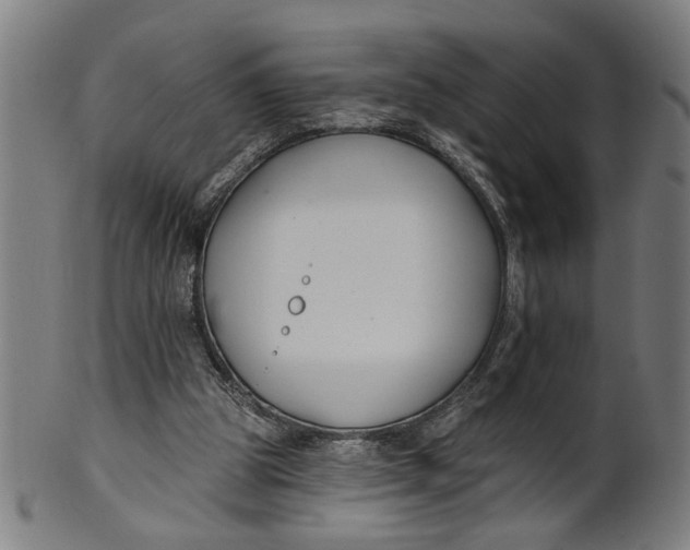 X0000100840153200807111159