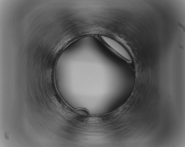 X0000100840154200807111159