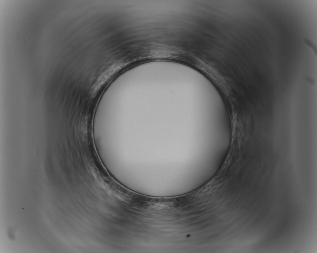 X0000100840155200807111159