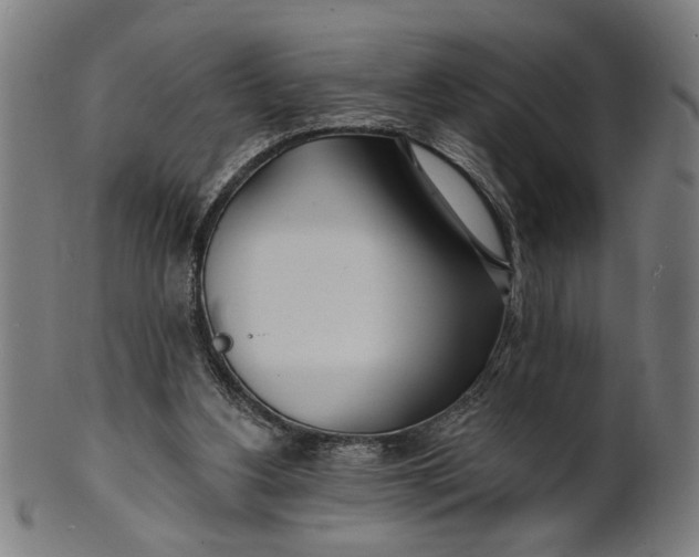 X0000100840156200807111159