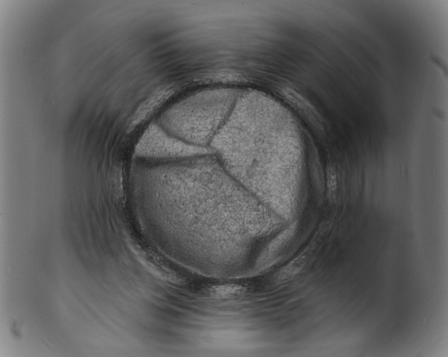 X0000100840158200807111159