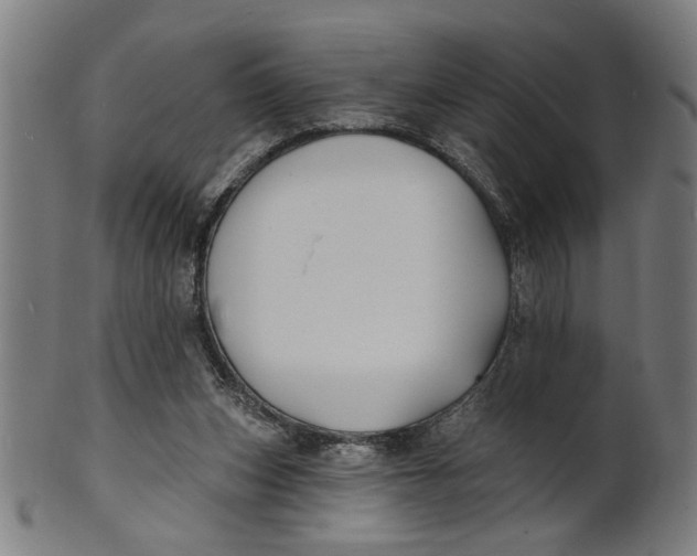 X0000100840159200807111159