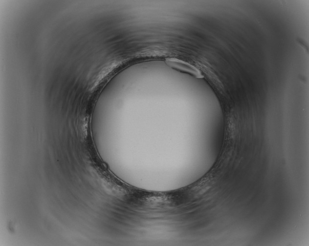 X0000100840160200807111200