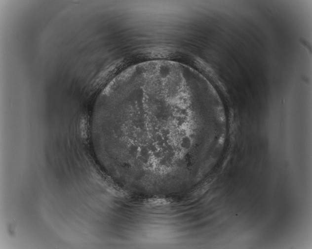 X0000100840161200807111200