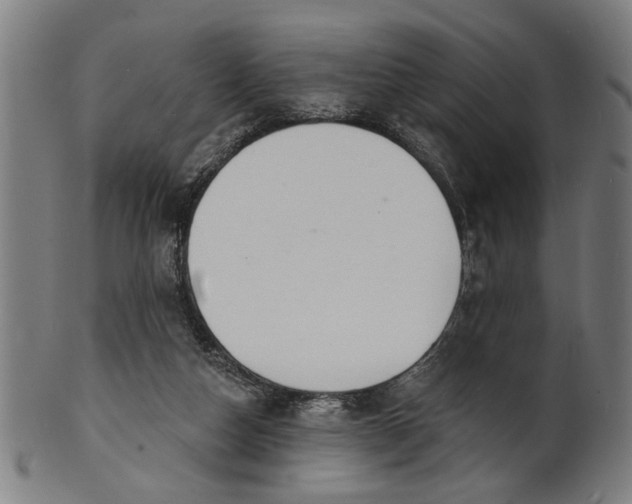 X0000100840162200807111200