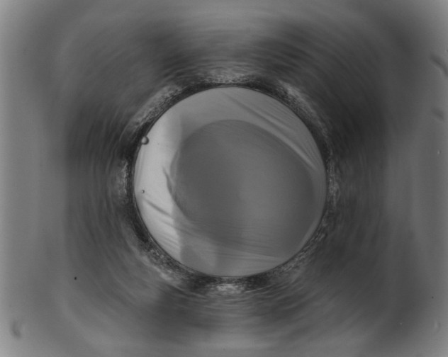 X0000100840163200807111200