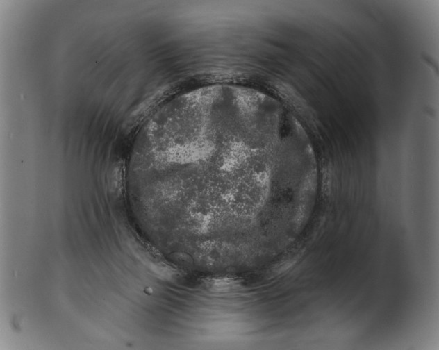 X0000100840165200807111200