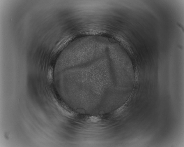 X0000100840166200807111200