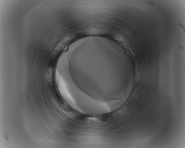 X0000100840167200807111200