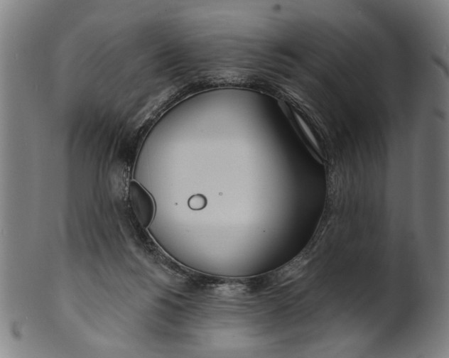 X0000100840168200807111200