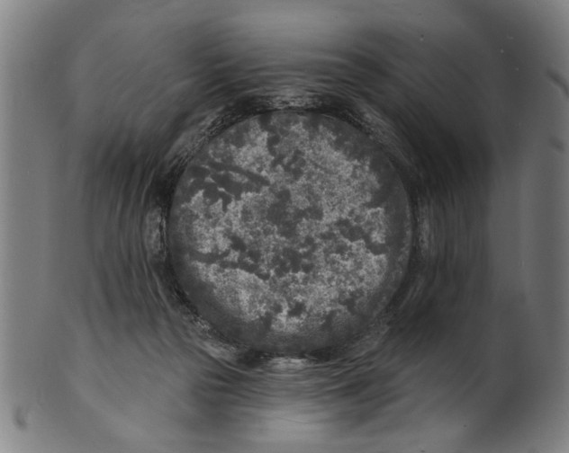 X0000100840169200807111200