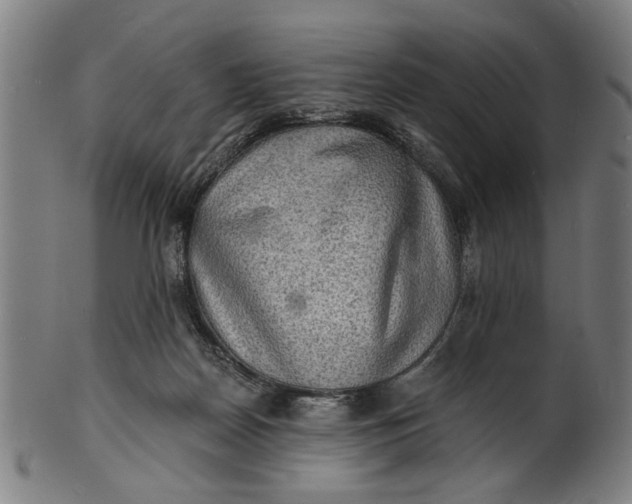 X0000100840170200807111200