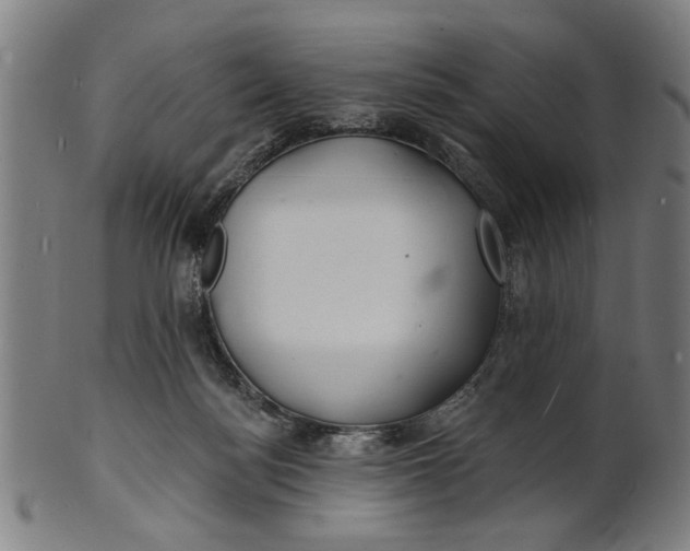 X0000100840172200807111200