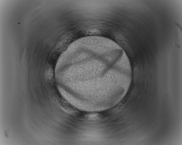 X0000100840173200807111200