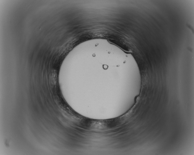 X0000100840174200807111200