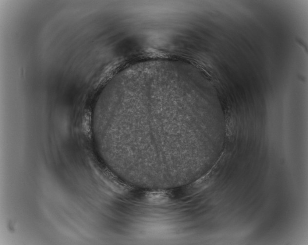 X0000100840175200807111200