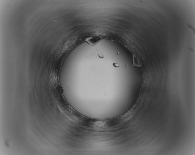 X0000100840176200807111200