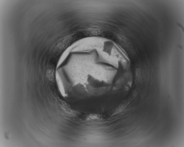 X0000100840177200807111200