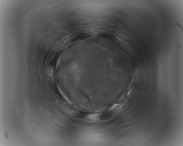 X0000100840178200807111200