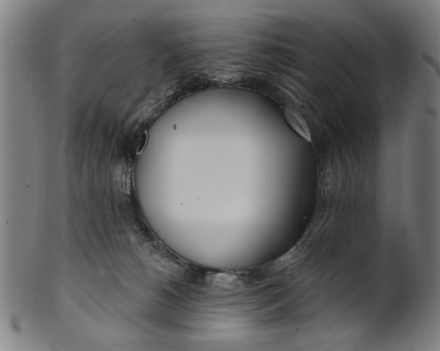 X0000100840180200807111200