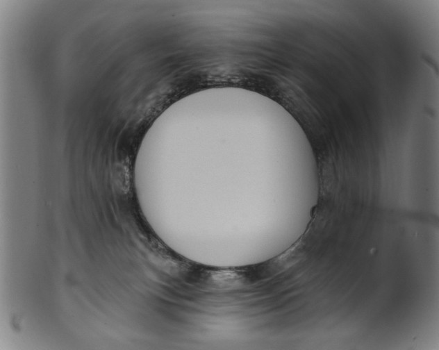 X0000100840183200807111200