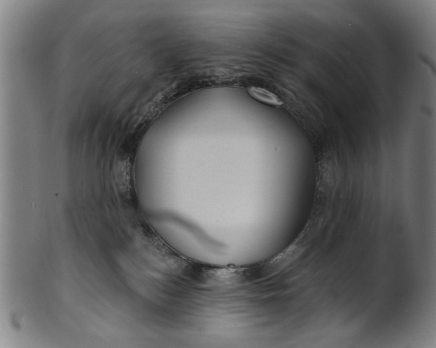 X0000100840184200807111200