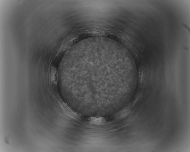 X0000100840185200807111200