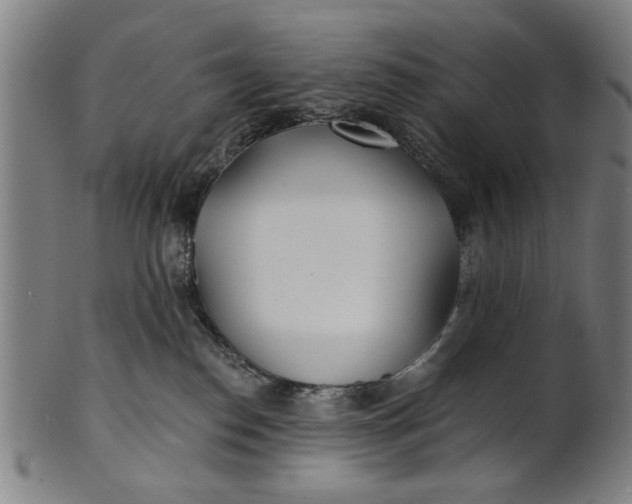 X0000100840186200807111200